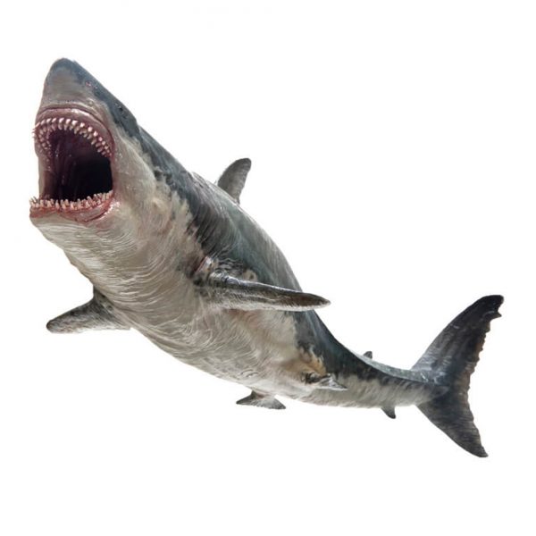 CollectA Deluxe Megalodon Model (1:60 scale)