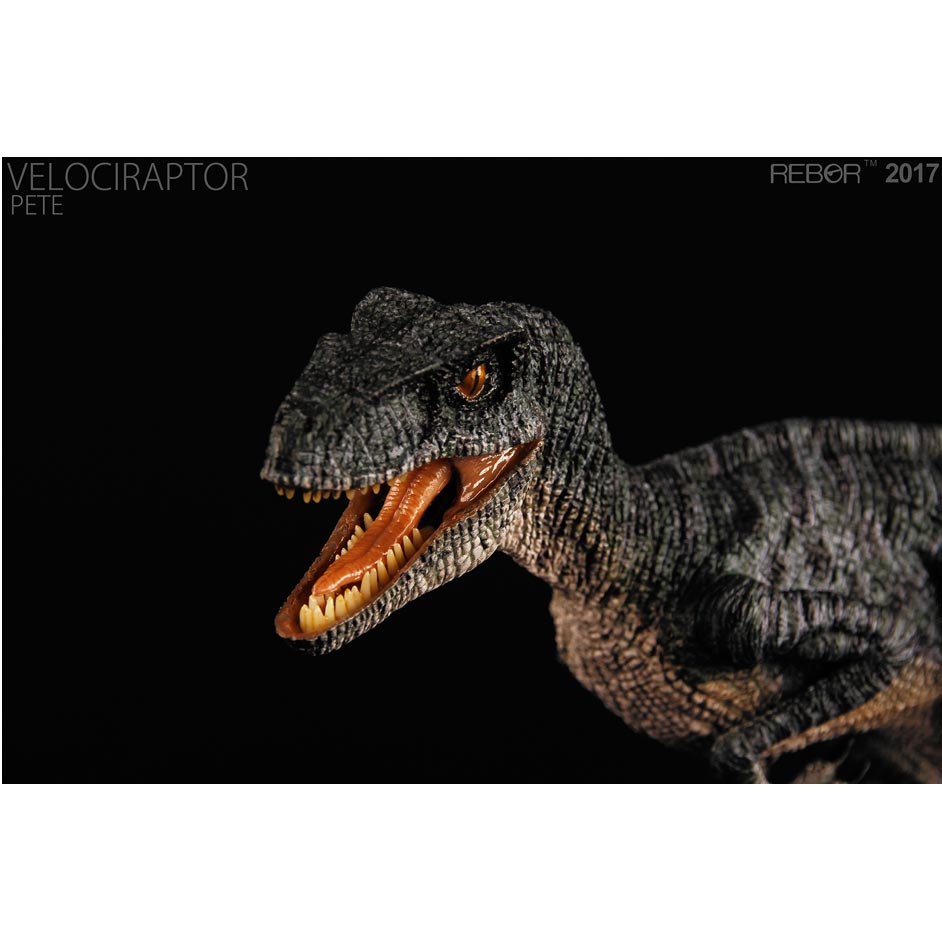 rebor velociraptor