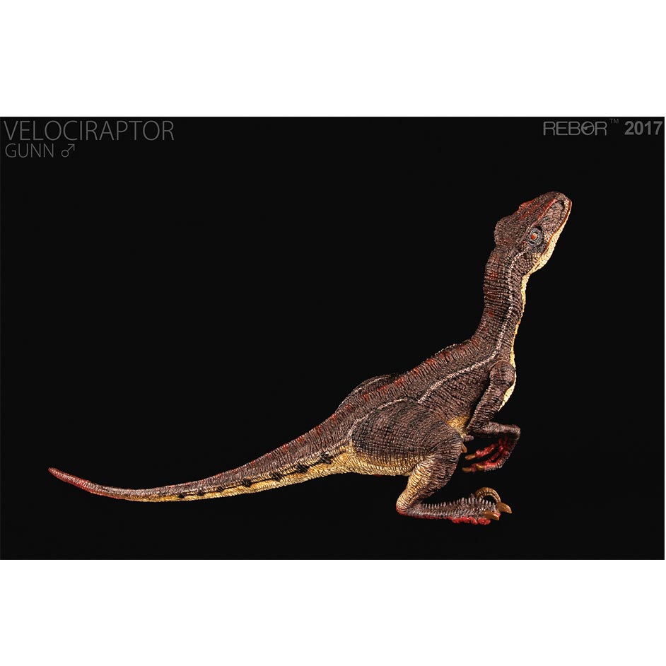 rebor velociraptor