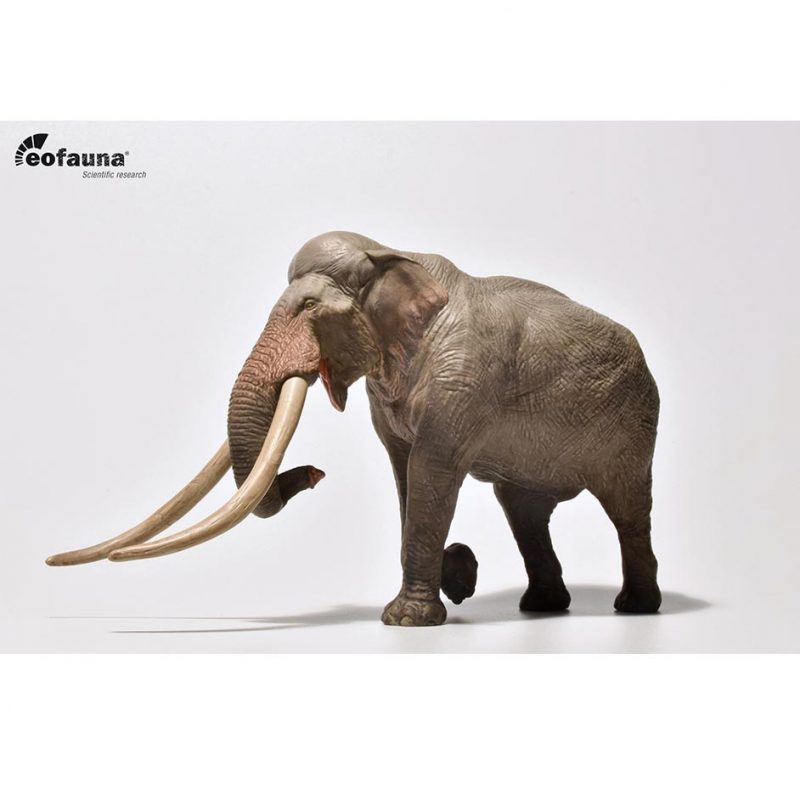 Eofauna Straight-tusked Elephant