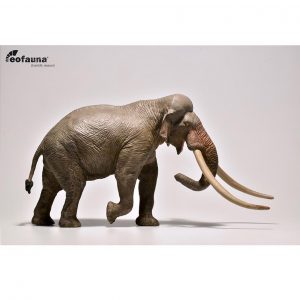 Eofauna Straight-tusked Elephant