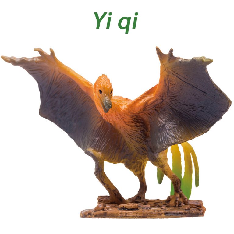 yi qi fossil