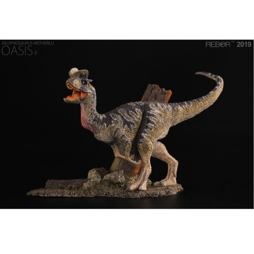 Rebor Dilophosaurus dinosaur model (Oasis).