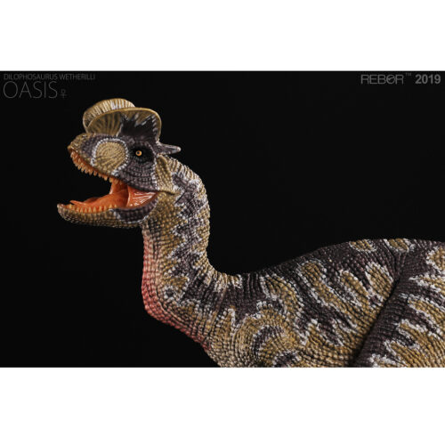 Rebor Dilophosaurus dinosaur model (Oasis).