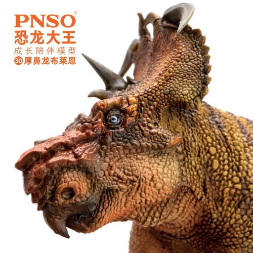 PNSO Brian the Pachyrhinosaurus