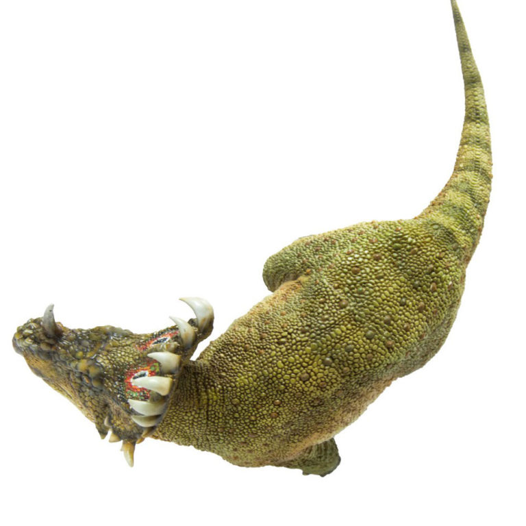 sinoceratops dinosaur