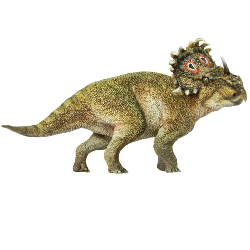 sinoceratops pnso