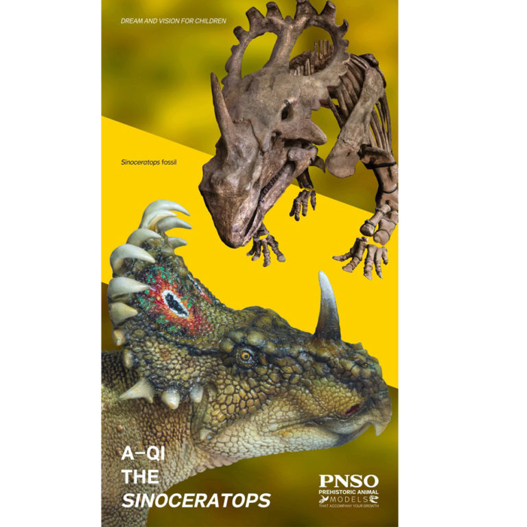 sinoceratops pnso