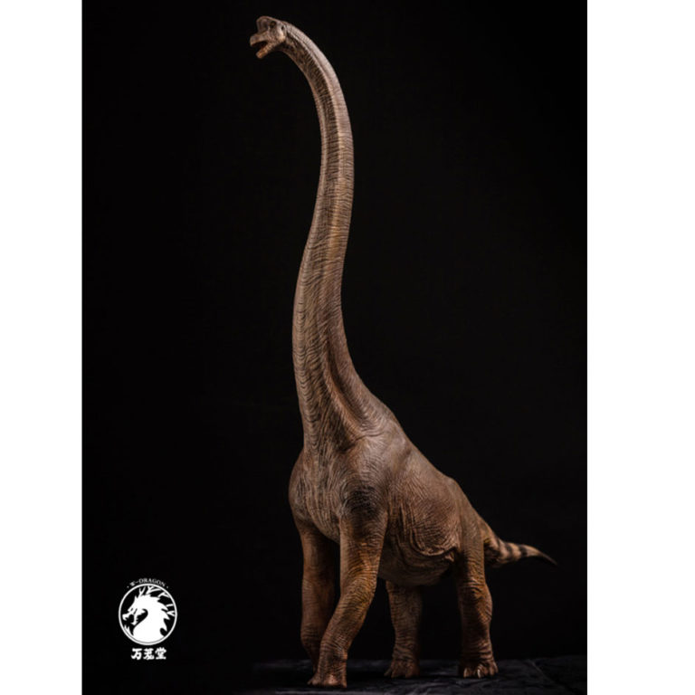 W-Dragon Giraffatitan Dinosaur Model - Everything Dinosaur