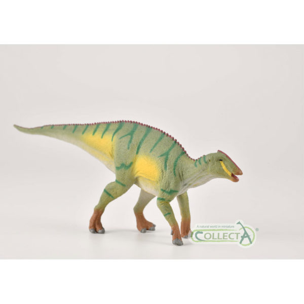 CollectA Kamuysaurus Dinosaur Model - Everything Dinosaur