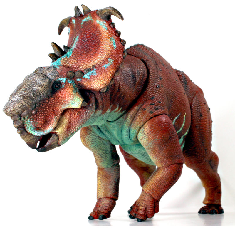 Beasts of the Mesozoic Pachyrhinosaurus lakustai - Everything Dinosaur