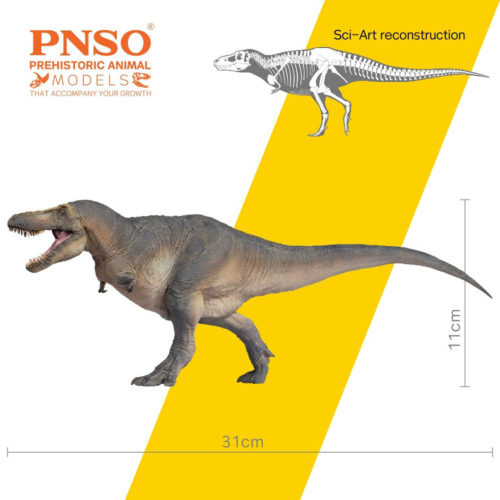 Tarbosaurus model measurements (PNSO).