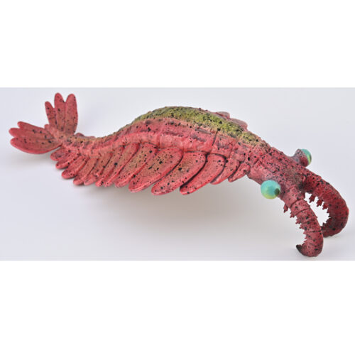 CollectA Anomalocaris