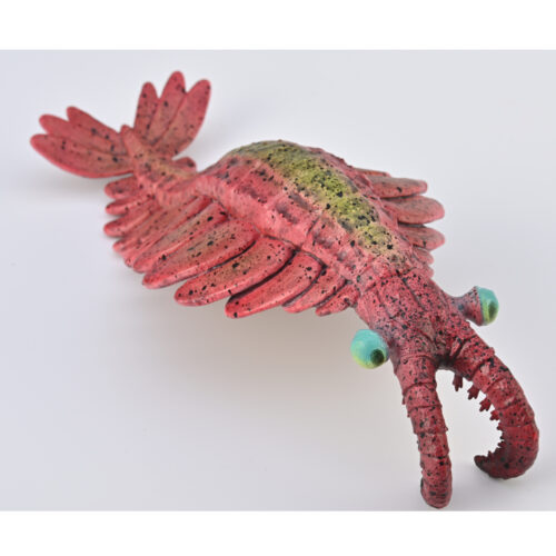 CollectA Anomalocaris