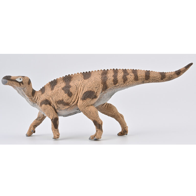 CollectA Prehistoric Life Collection