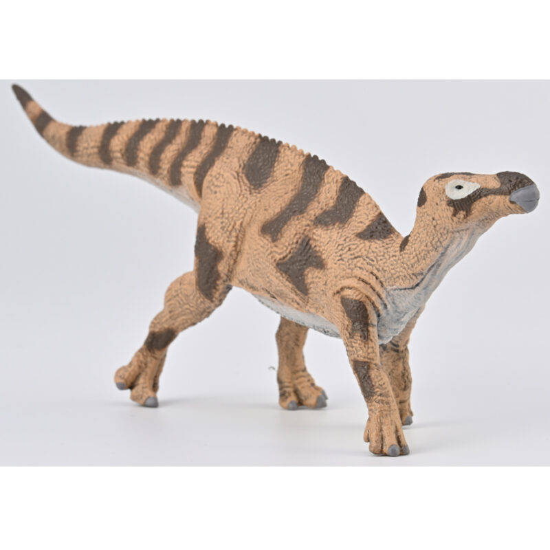 CollectA Brighstoneus Dinosaur Model - Everything Dinosaur