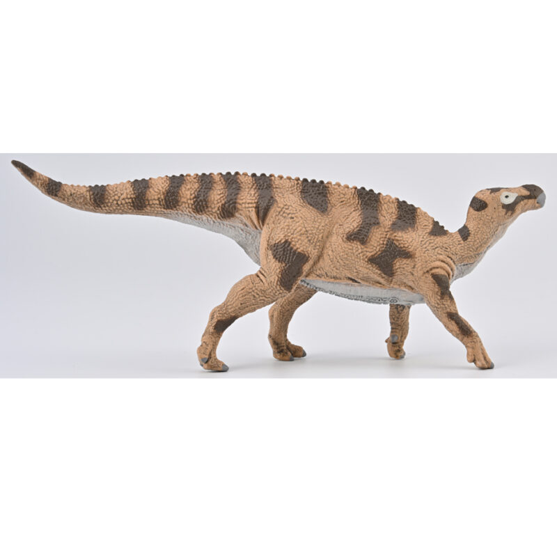 CollectA Brighstoneus Dinosaur Model - Everything Dinosaur