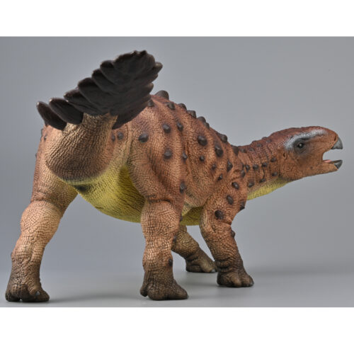 Stegouros dinosaur figure in posterior view.