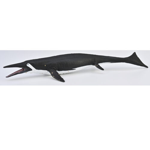 Ichthyosaur figure - Shastasaurus