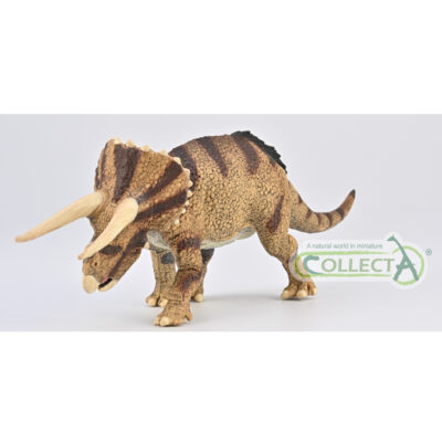 CollectA Triceratops horridus - Confronting