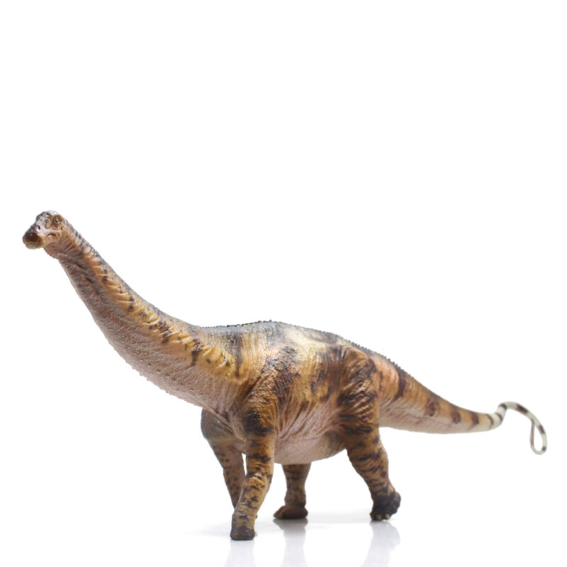 Haolonggood Apatosaurus (ShiJing) - Everything Dinosaur