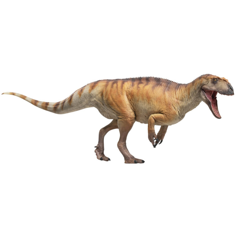 PNSO Dayong the Yangchuanosaurus shangyouensis - Everything Dinosaur