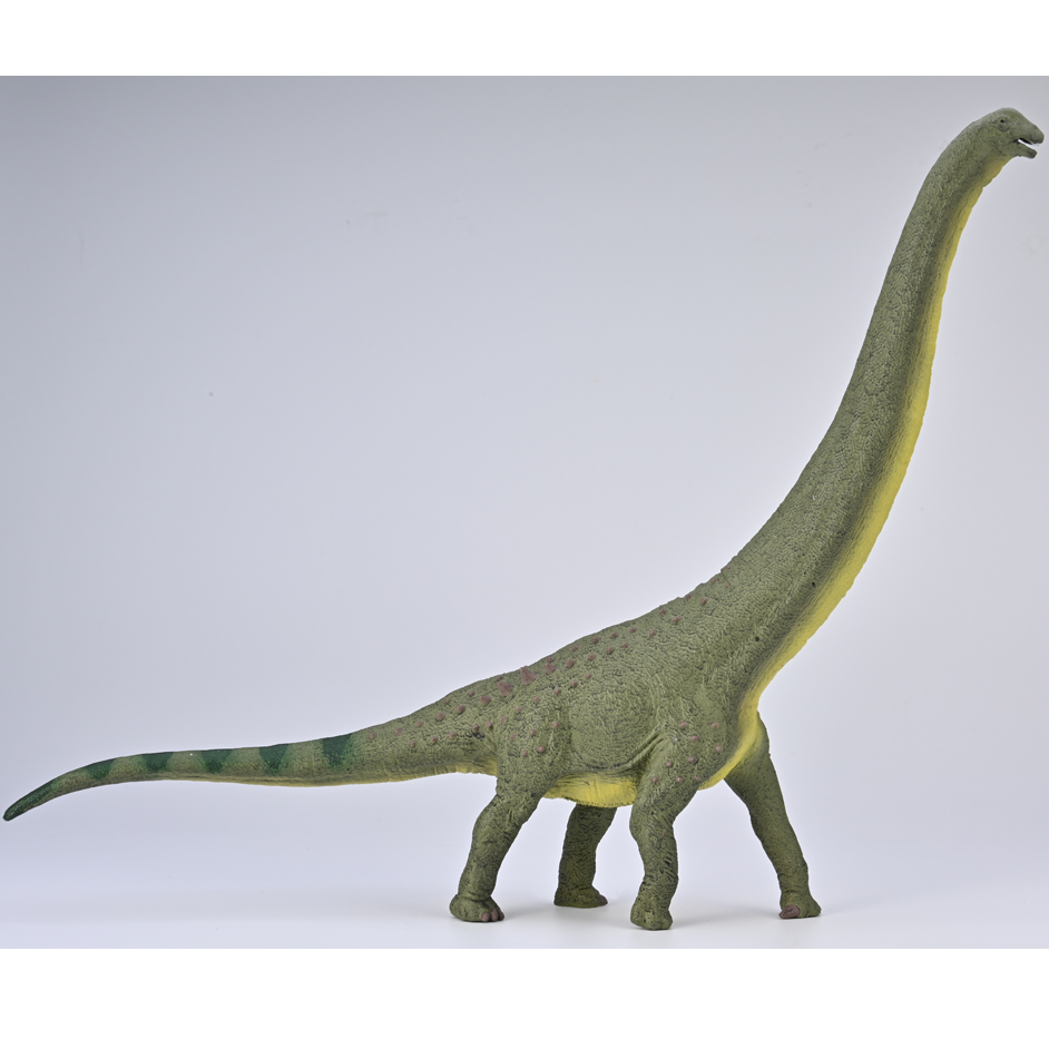 CollectA Deluxe Dreadnoughtus - Everything Dinosaur