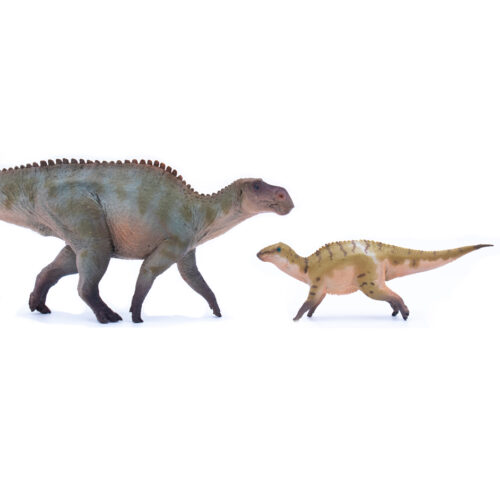 A pair of hadrosaur figures.