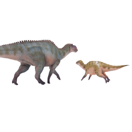 Maiasaura adult and juvenile figure (Haolonggood Chun Hui).