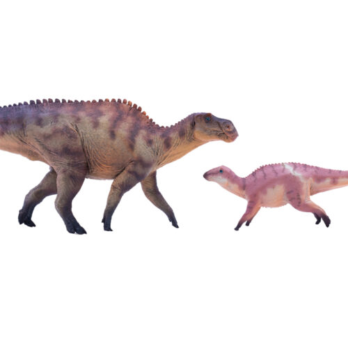 Hadrosaur pair.