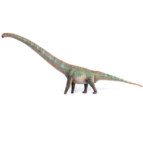 Haolonggood Mamenchisaurus Model (Chai Jin)