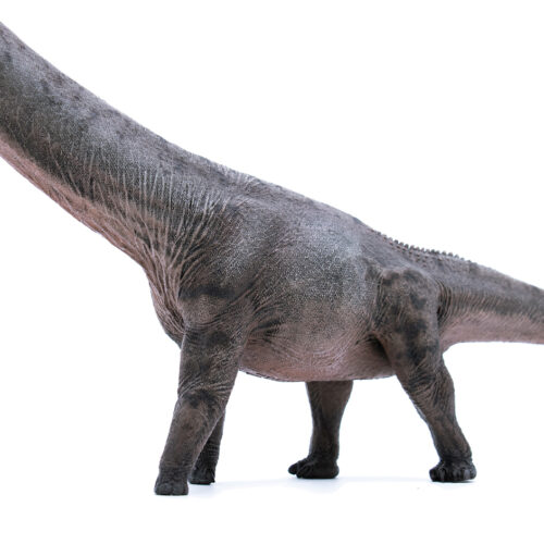 A close-up view of the Chinese sauropod figure (Zhu Wu).