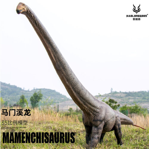 Haolonggood Mamenchisaurus Model (Zhu Wu)