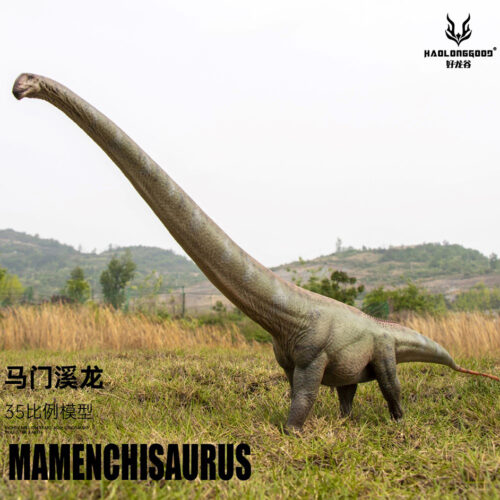 Haolonggood Mamenchisaurus Model (Chai Jin)