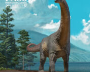 PNSO Njor the Camarasaurus.