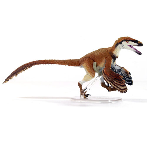 Beasts of the Mesozoic Deinonychus antirrhopus