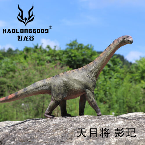 Haolonggood Camarasaurus Model (Peng Qi)