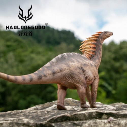 Haolonggood Amargasaurus (Li Gun)