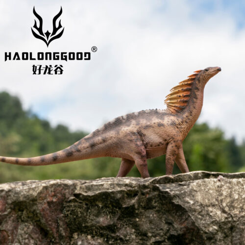 Haolonggood Amargasaurus (Li Gun)