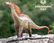 Haolonggood Amargasaurus (Xiang Chong)