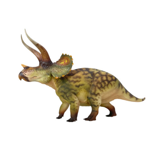 Haolonggood Triceratops (Qin Ming)