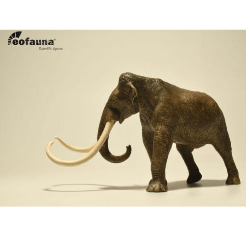 Eofauna Columbian Mammoth