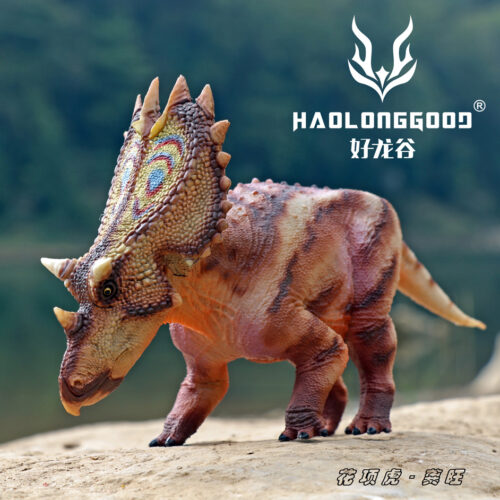 Haolonggood Utahceratops (Gong Wang)